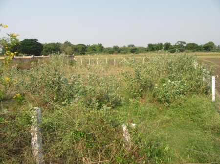992346860-2) Li id 412 - Pic 3.JPG